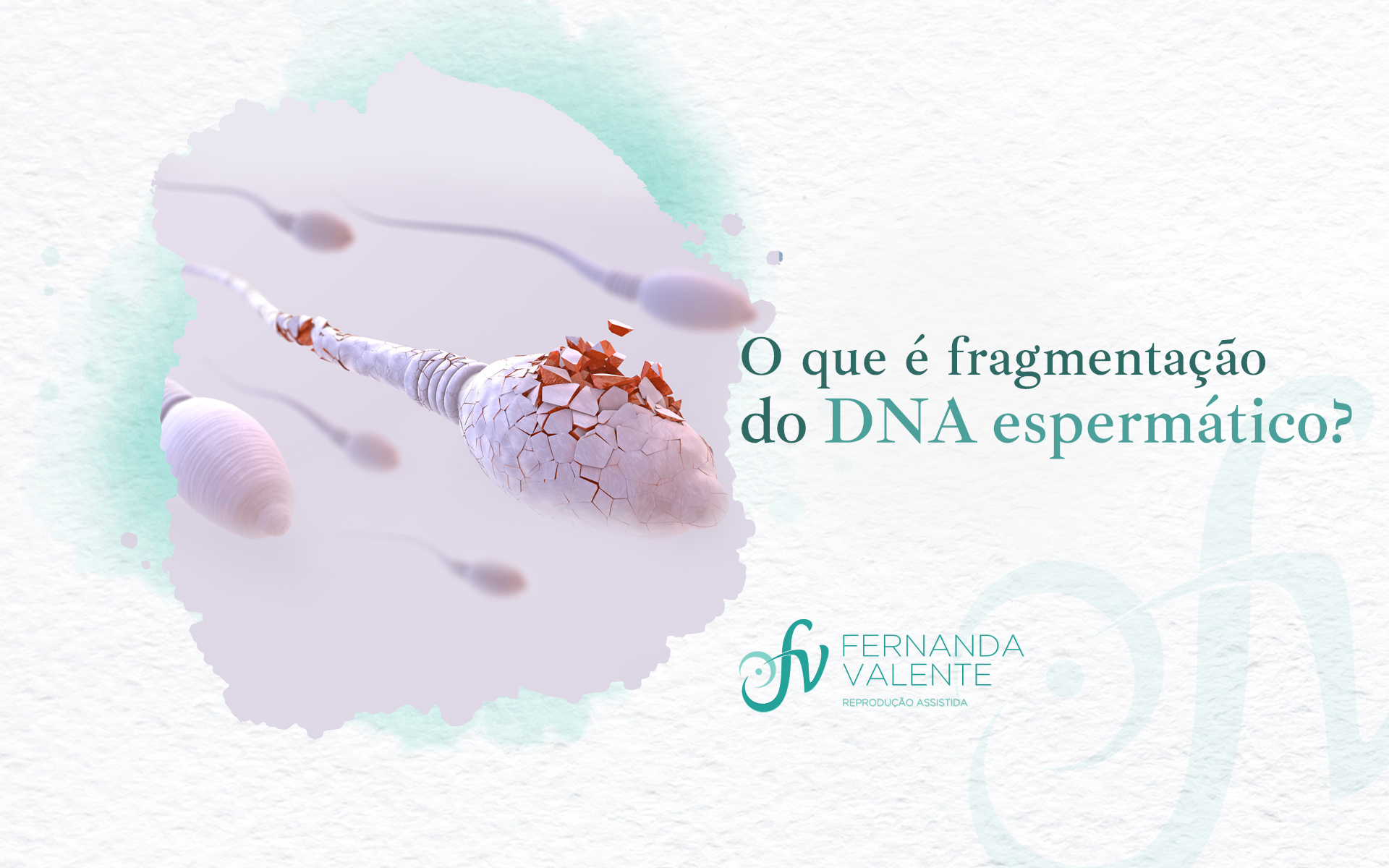 O Que é Fragmentação Do Dna Espermático Dra Fernanda Valente