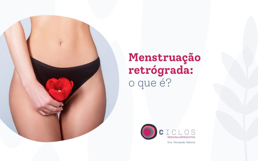 Hidrossalpinge: saiba tudo sobre a doença